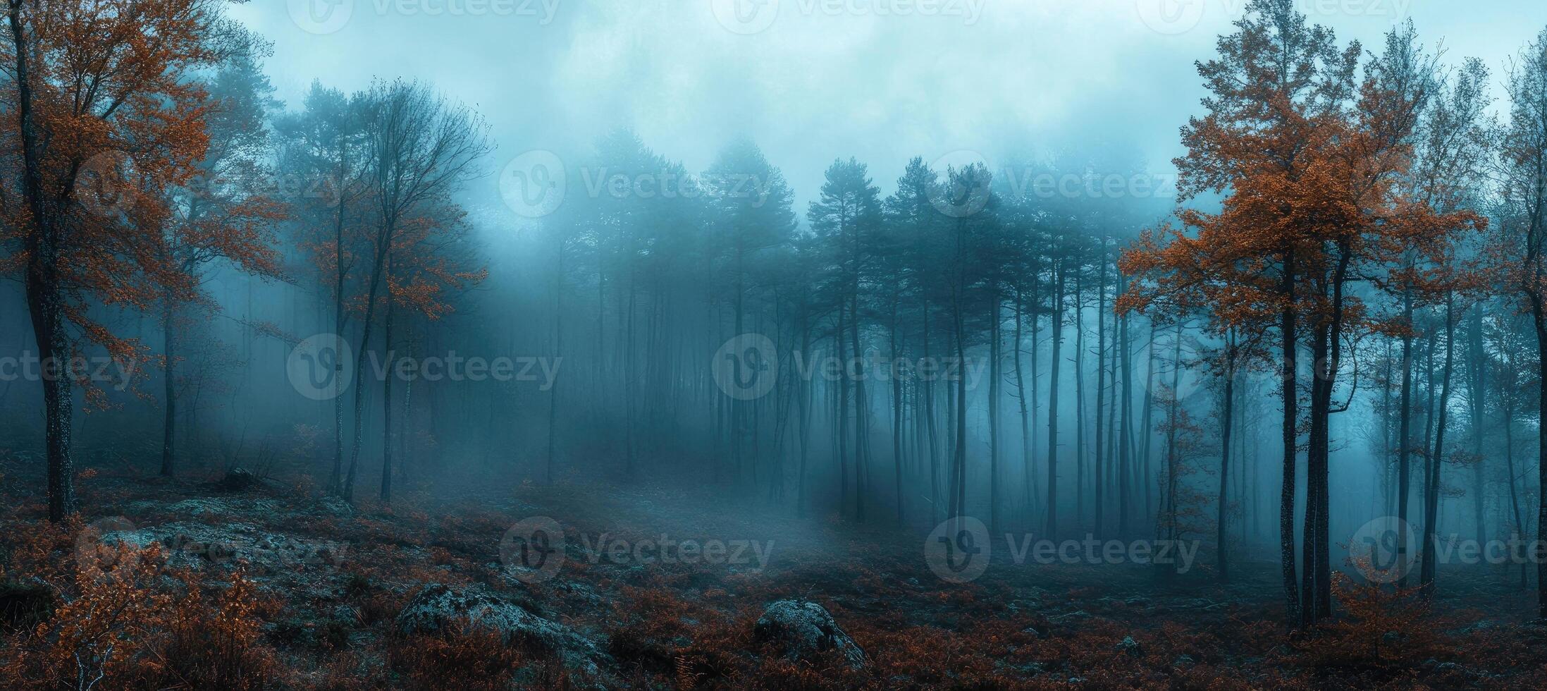 Narrow path leading through foggy forest in autumn photo