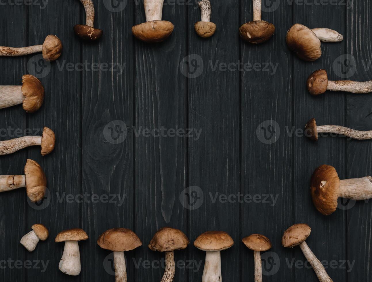 Autumn Cep Mushrooms. Basket with porcini mushrooms on the background of a tree outdoors. Close -up on wood rustic table. Cooking delicious organic mushroom. photo