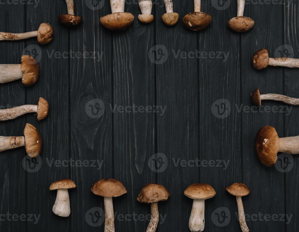Autumn Cep Mushrooms. Basket with porcini mushrooms on the background of a tree outdoors. Close -up on wood rustic table. Cooking delicious organic mushroom. photo