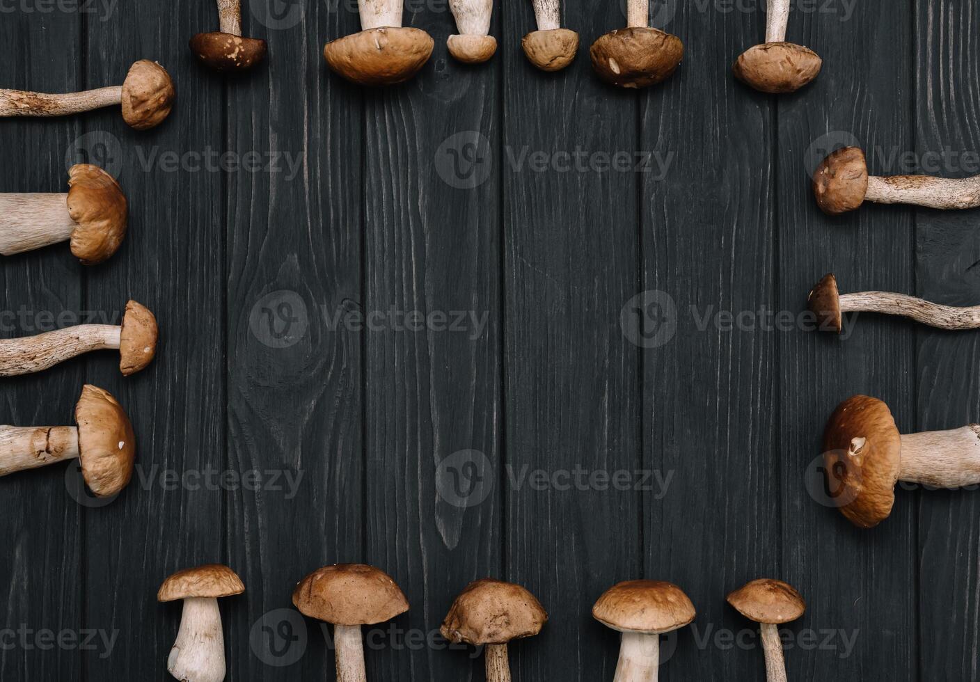 Autumn Cep Mushrooms. Basket with porcini mushrooms on the background of a tree outdoors. Close -up on wood rustic table. Cooking delicious organic mushroom. photo