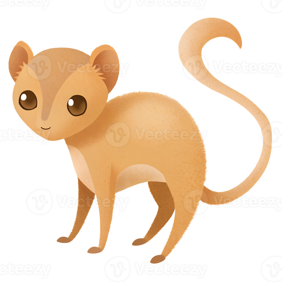 Illustration style cartoon cute, Kinkajou, It looks shocked, simple and clean lines png
