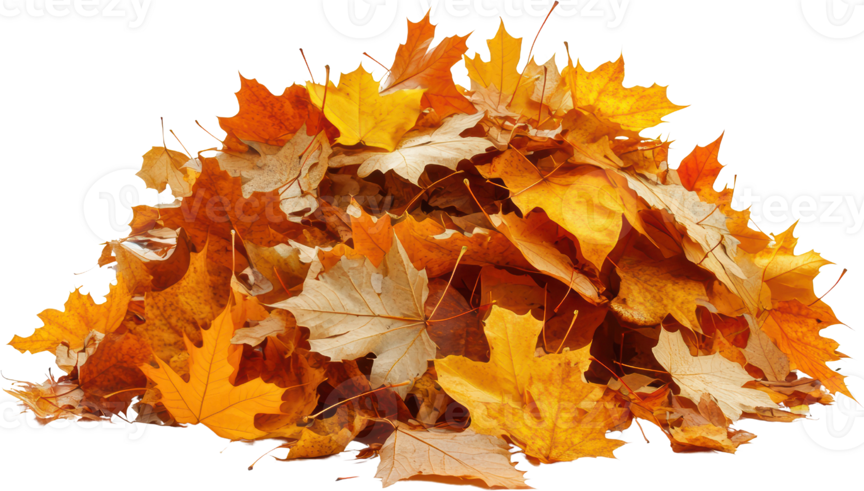 Autumn maple leaves pile isolated transparent background png