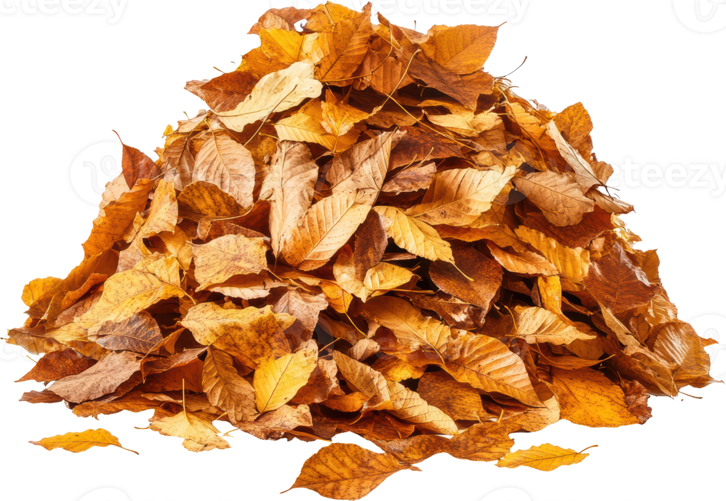 Autumn Leaves Pile Fall Foliage Isolated Dry Leaves Nature Texture png