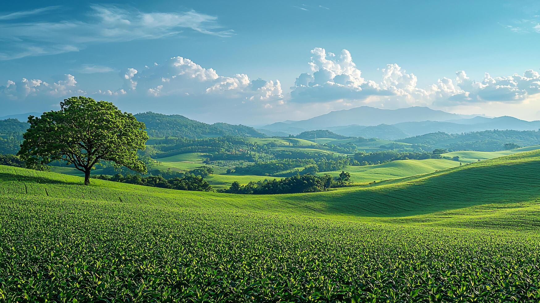 Stunning High-Resolution Nature and Landscape Backgrounds. Breathtaking ...