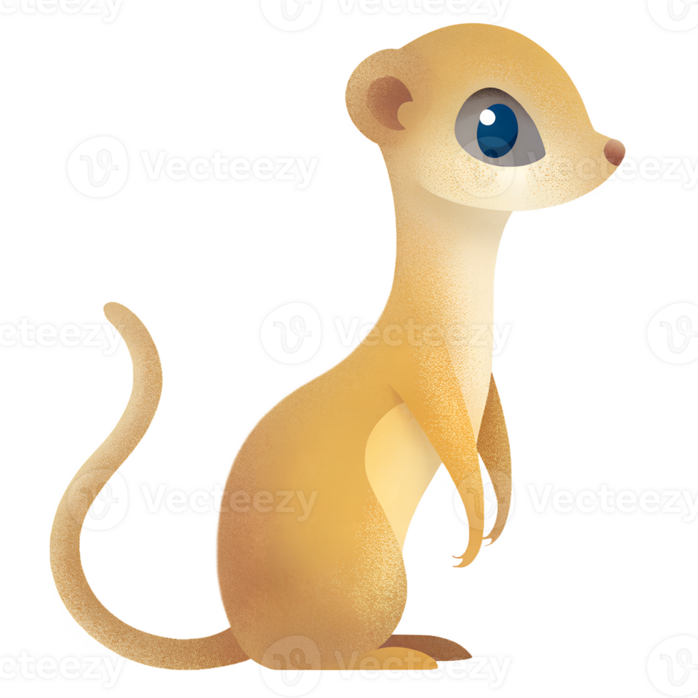 Illustration style cartoon cute, Meerkat standing, simple and clean lines png