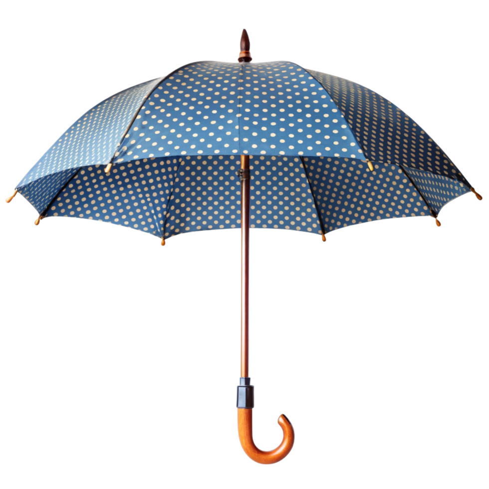 Colorful Printed Umbrella isolated on transparent background png