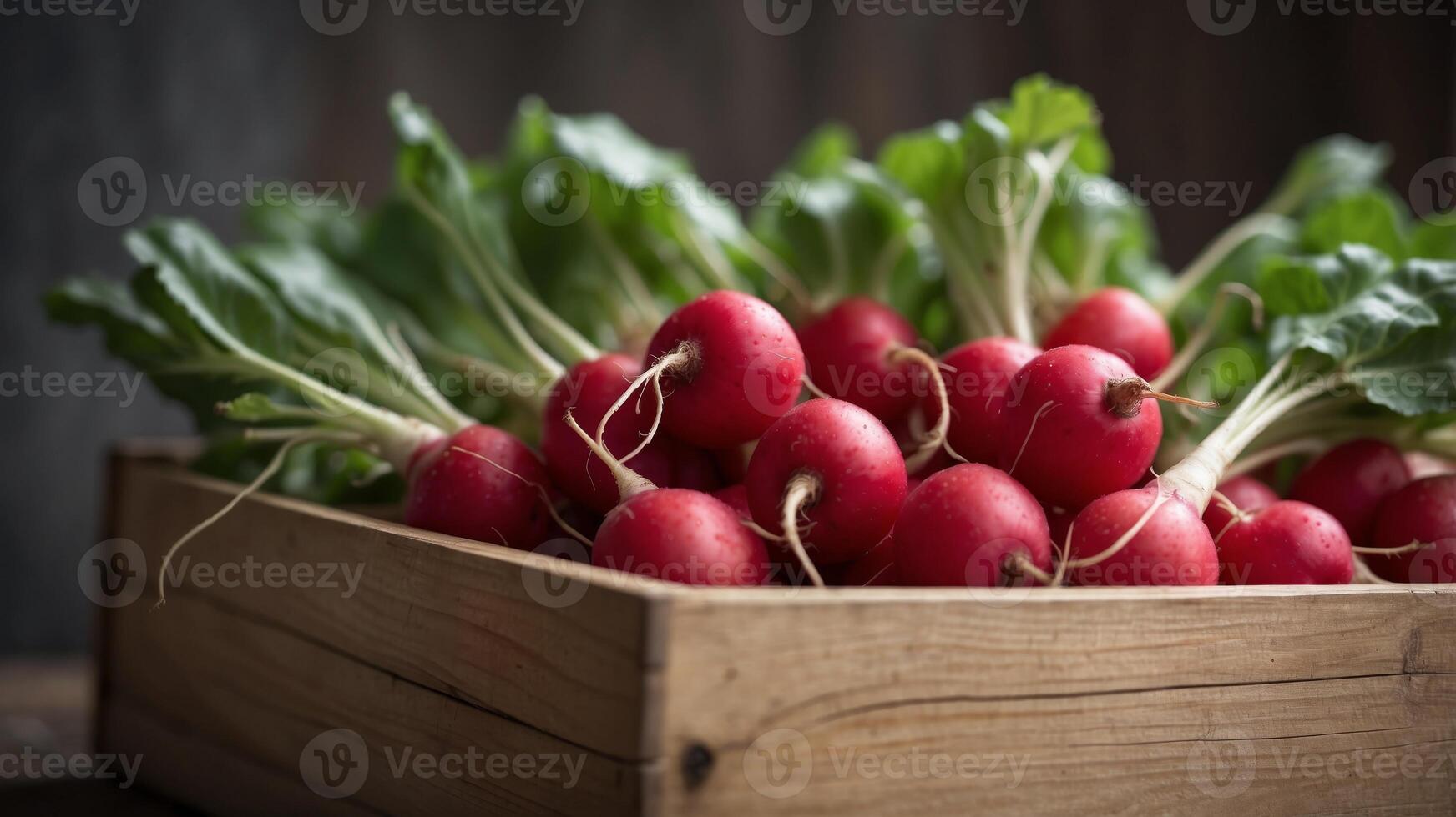 Freshly Harvested Radishes in a Wooden Crate. photo