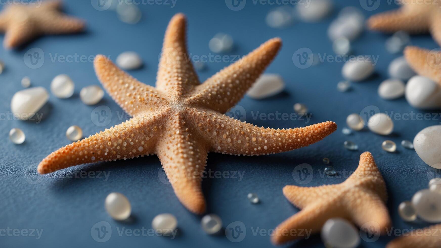 Close-up beautiful starfish blue background. photo