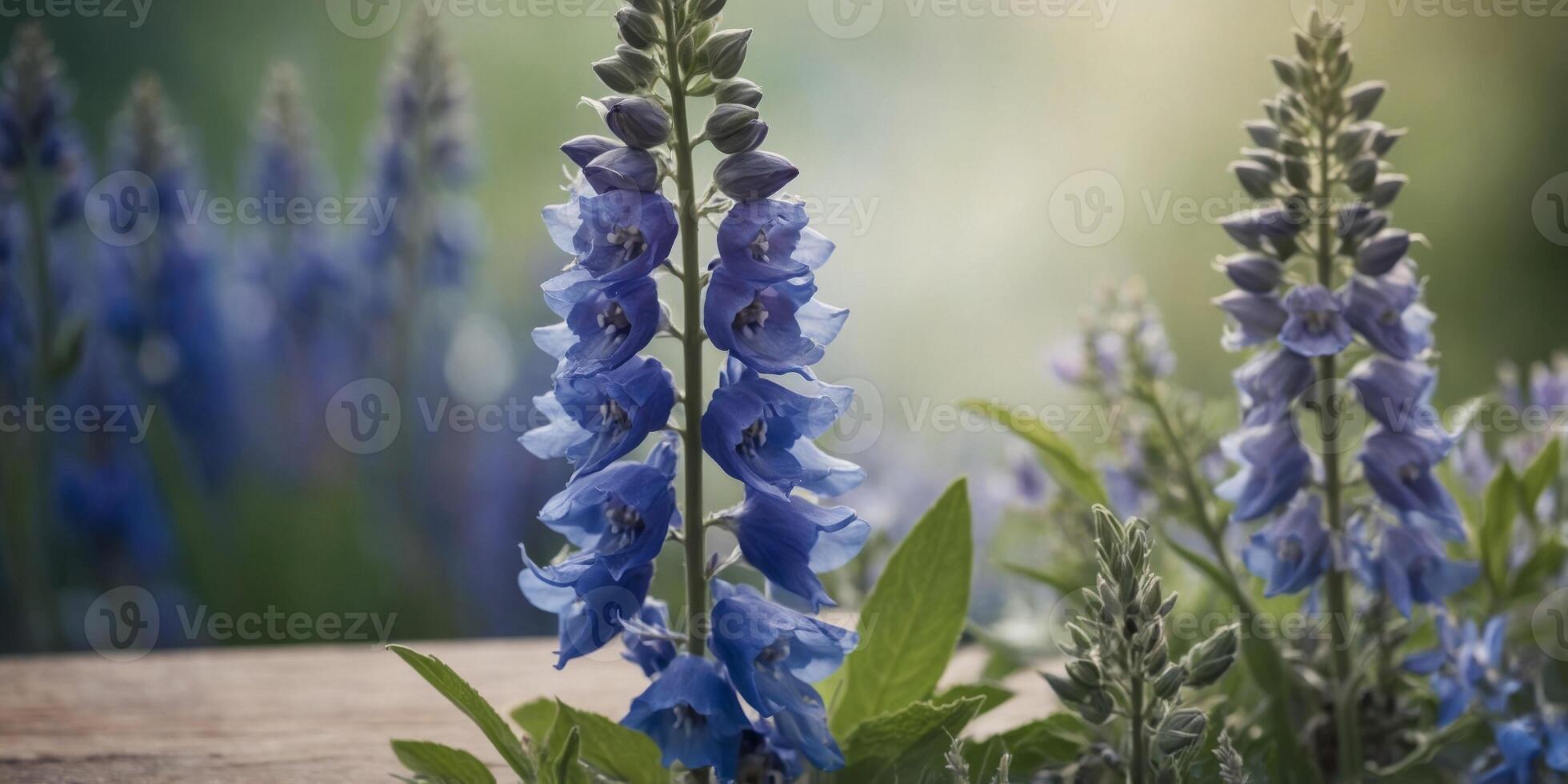 A serene boho frame of blue delphiniums and sage leaves encasing a spa treatment menu. photo