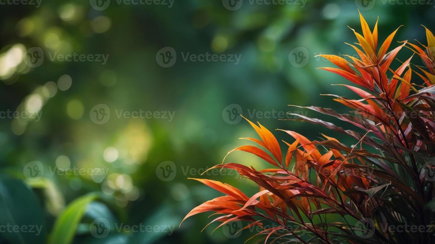 Colorful tropical leaves on green background Exotic border arrangement with copy space. photo