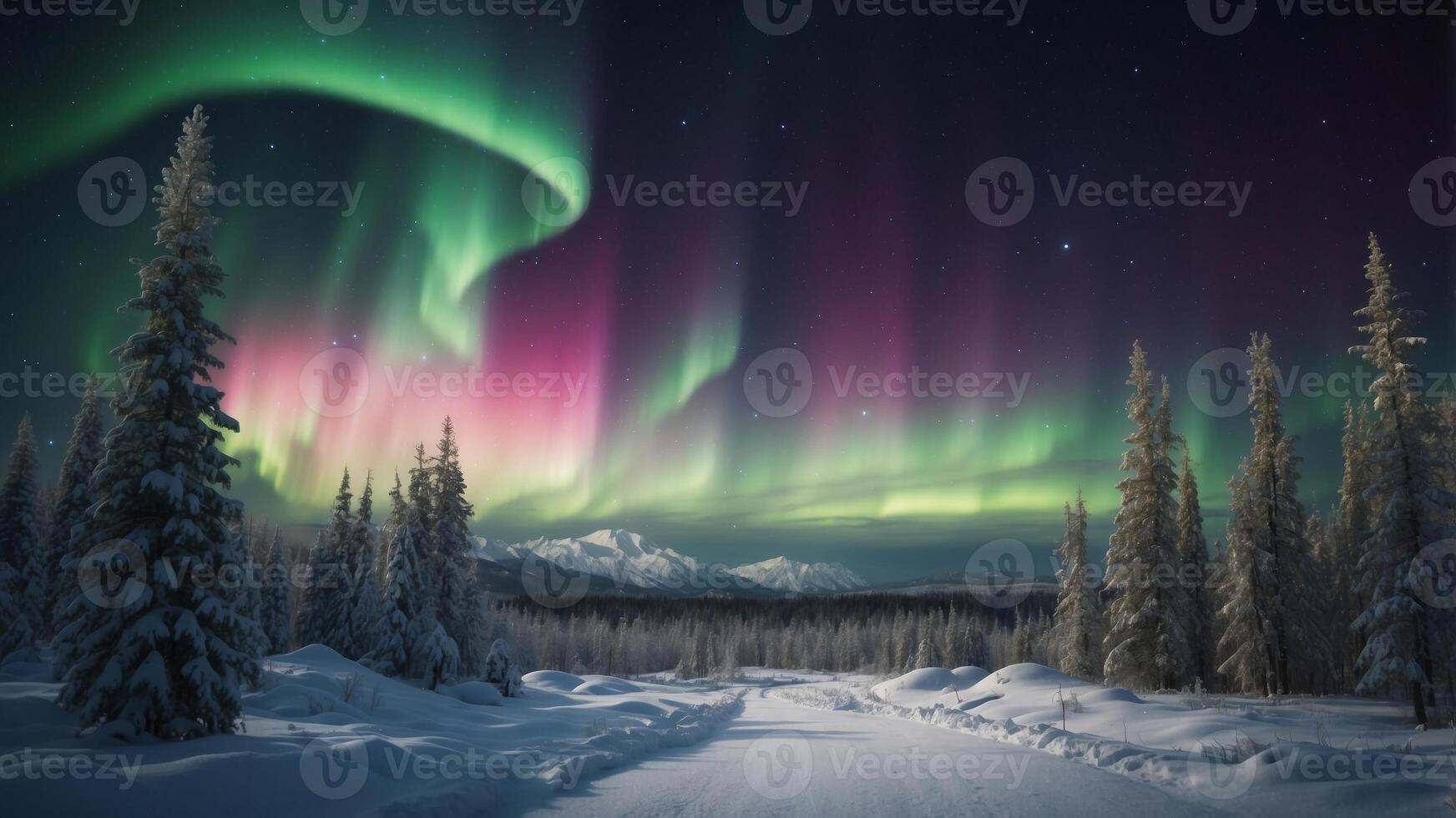 beautiful aurora northern lights in night sky with snow forest in winter. photo