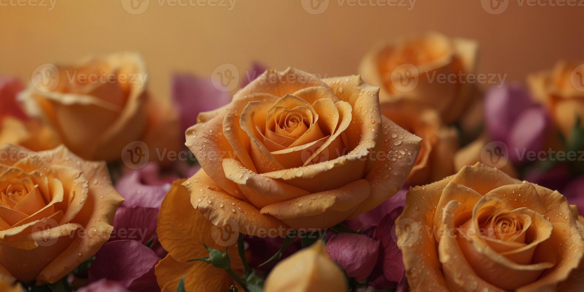 Vibrant rose petals on an orange background. photo