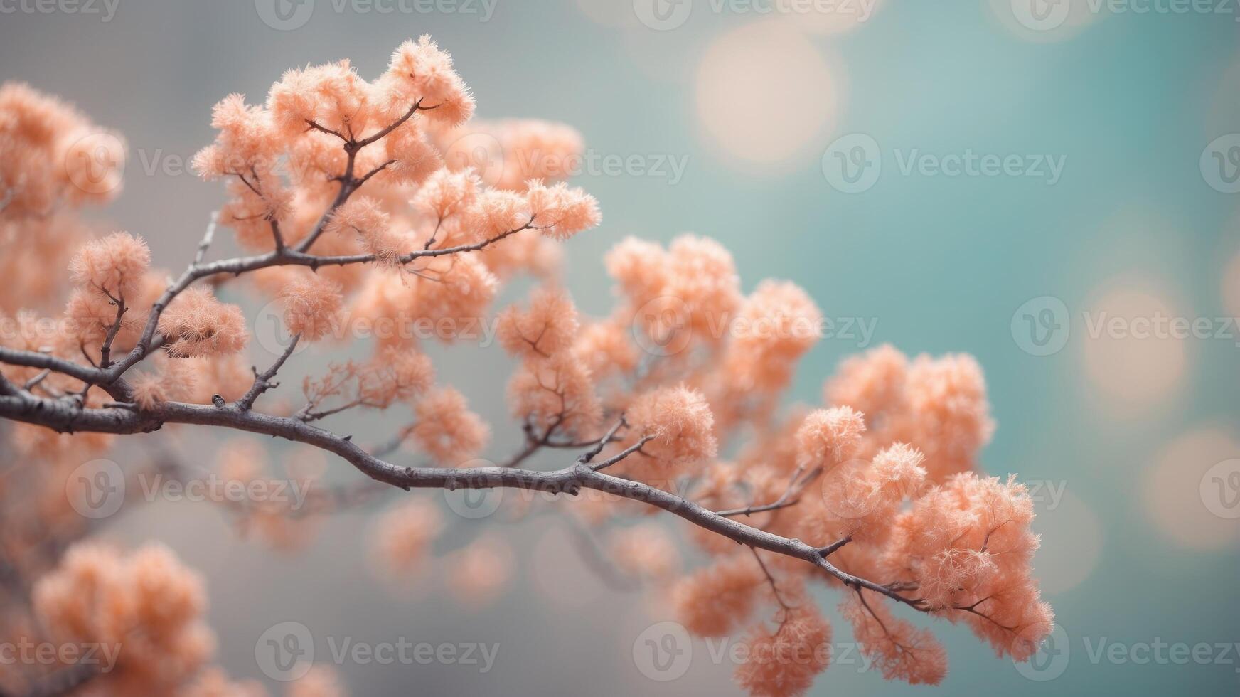 Pastel-colored abstract composition with coral and leaves. photo