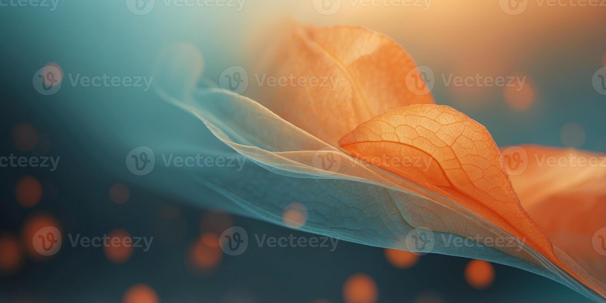 Vivid Gradient Background Transitioning from Orange to Teal with Soft Flowing Tones. photo