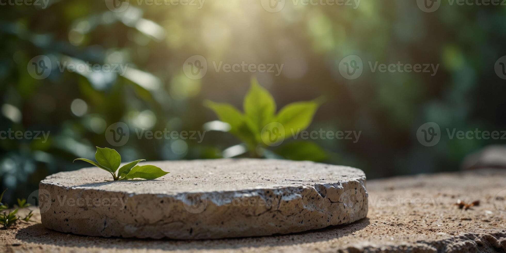 white stone podium display with leaf shadow Copy space leaf background. photo