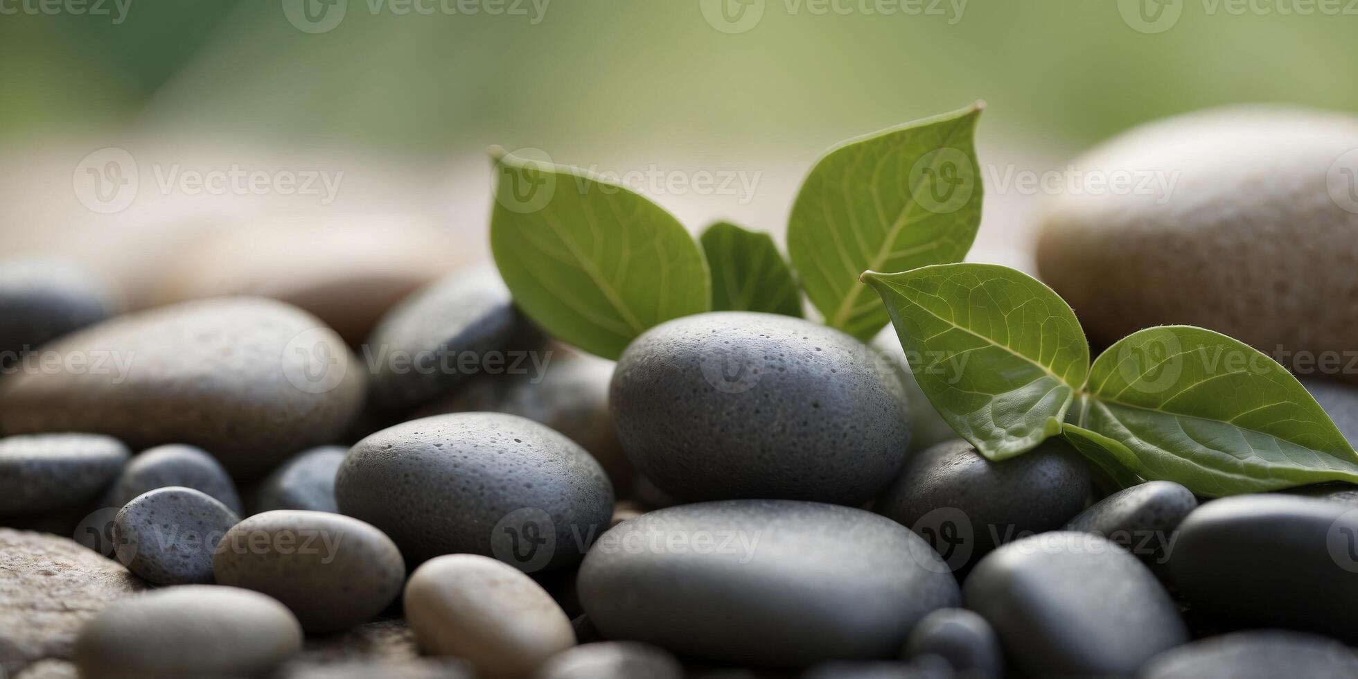 Serene green spa concept with stones and leaves. photo