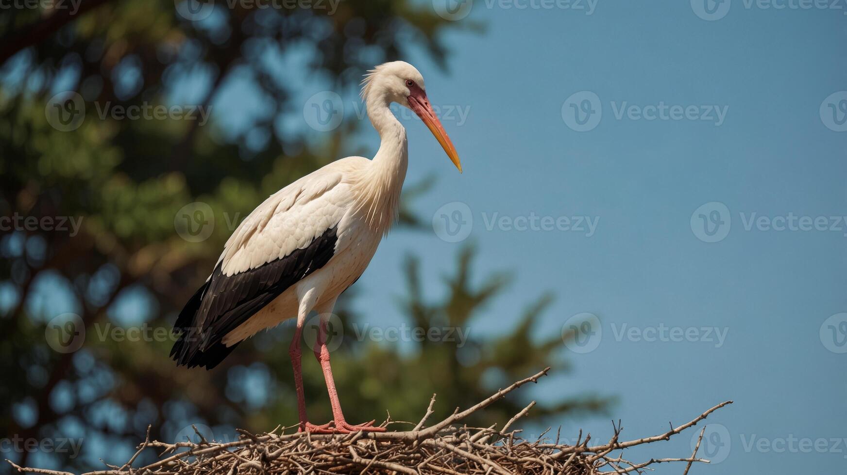 Stork standing on a branch near a nest under a clear blue sky. photo