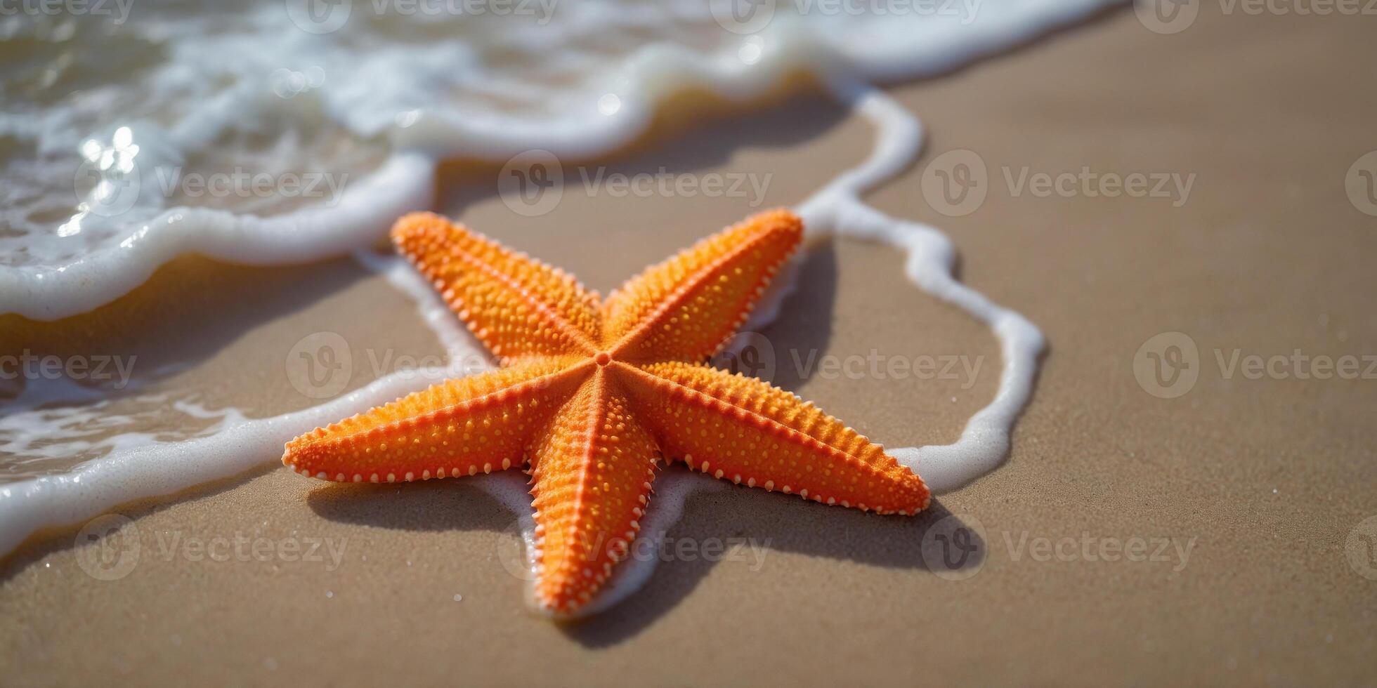 Top view of orange starfish with water wave at sand beach. photo
