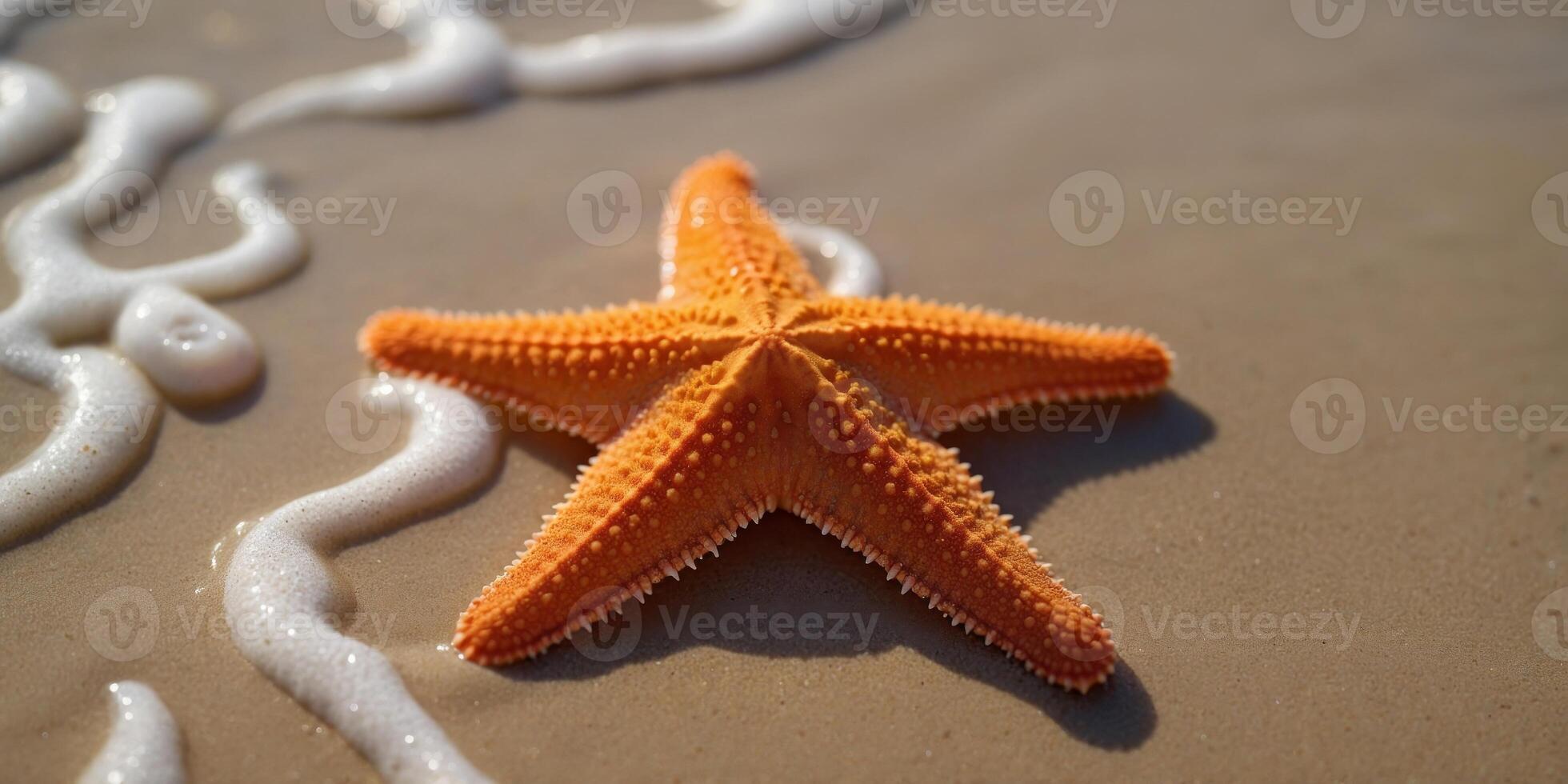 Top view of orange starfish with water wave at sand beach. photo