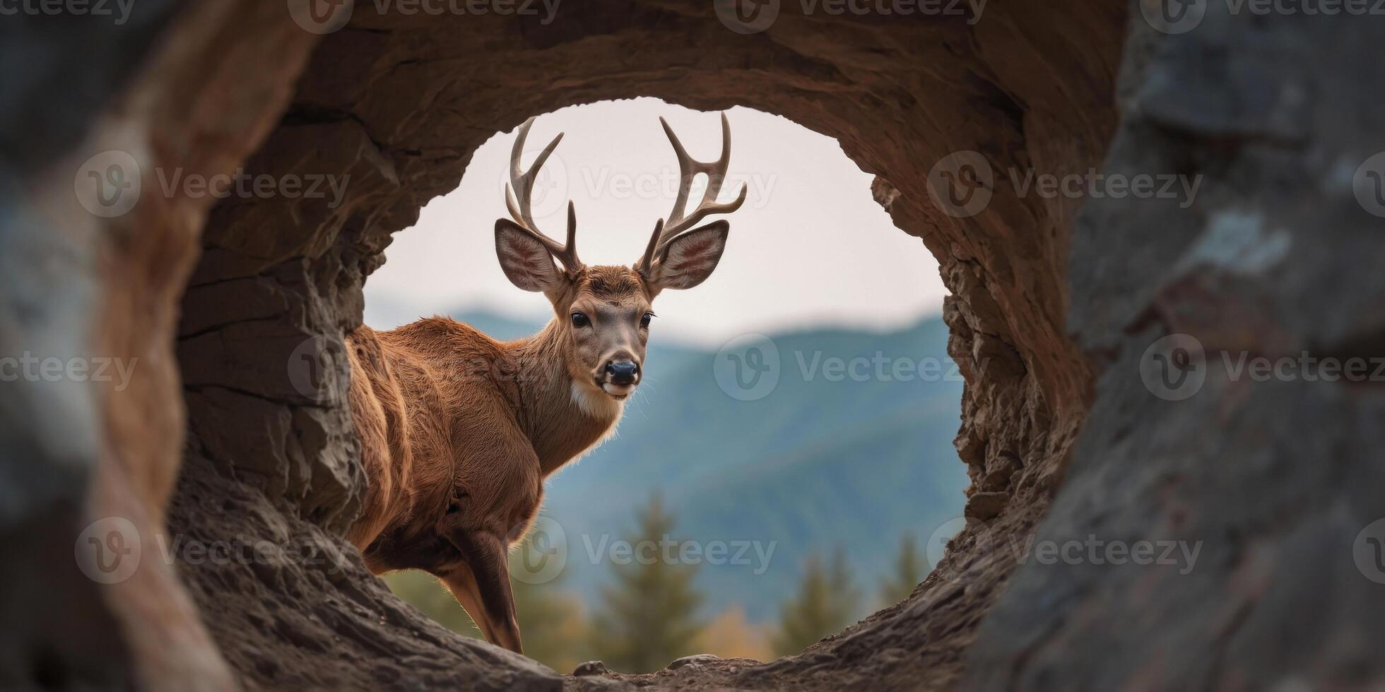 cute deer coming through crack hole in solid color background with copy space. photo