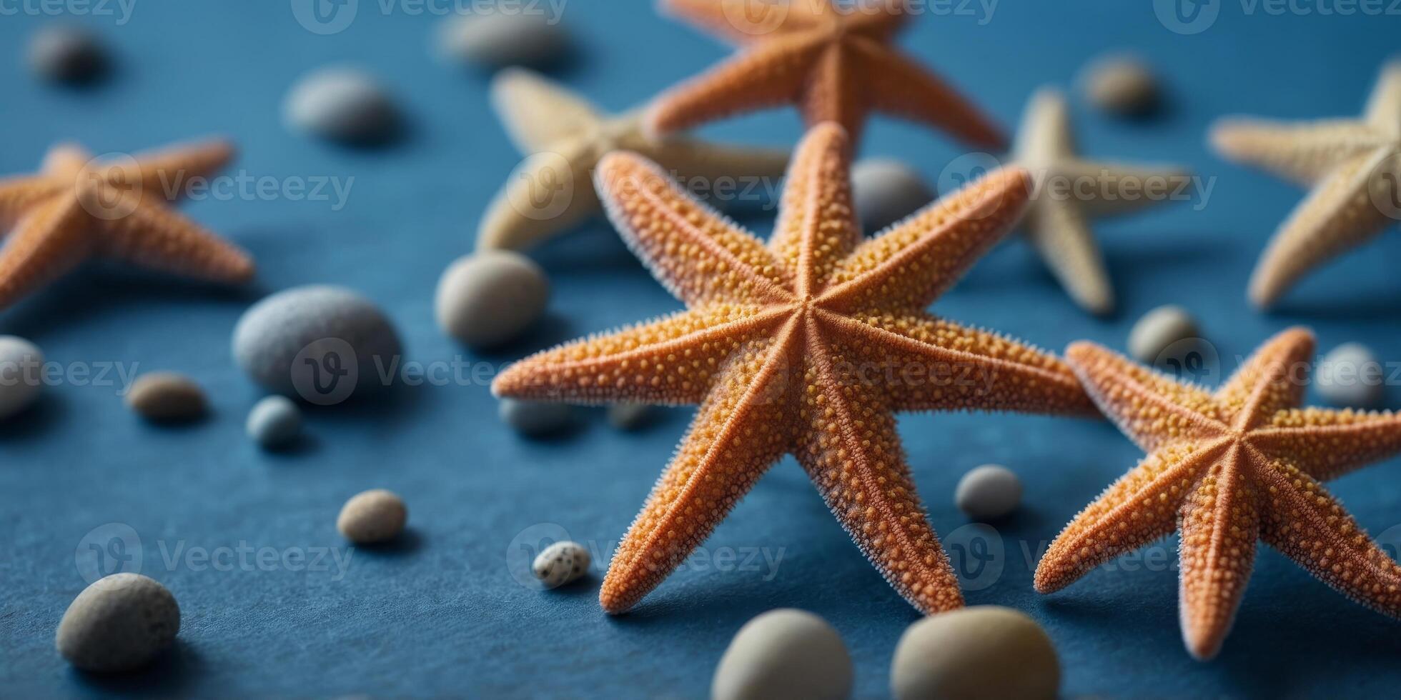 Different sized starfish on blue background. photo