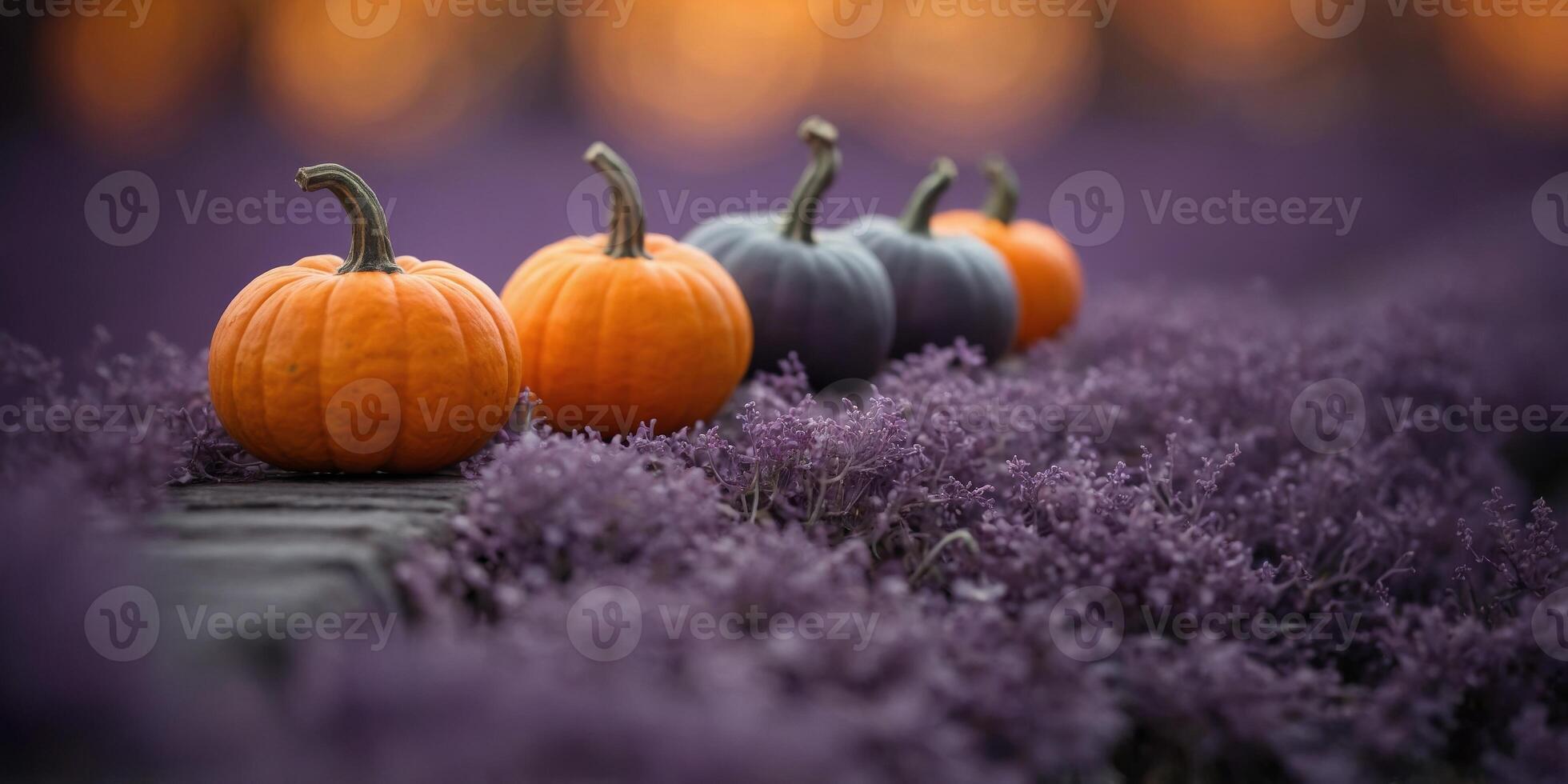 Small orange pumpkins in a row on violet background. photo