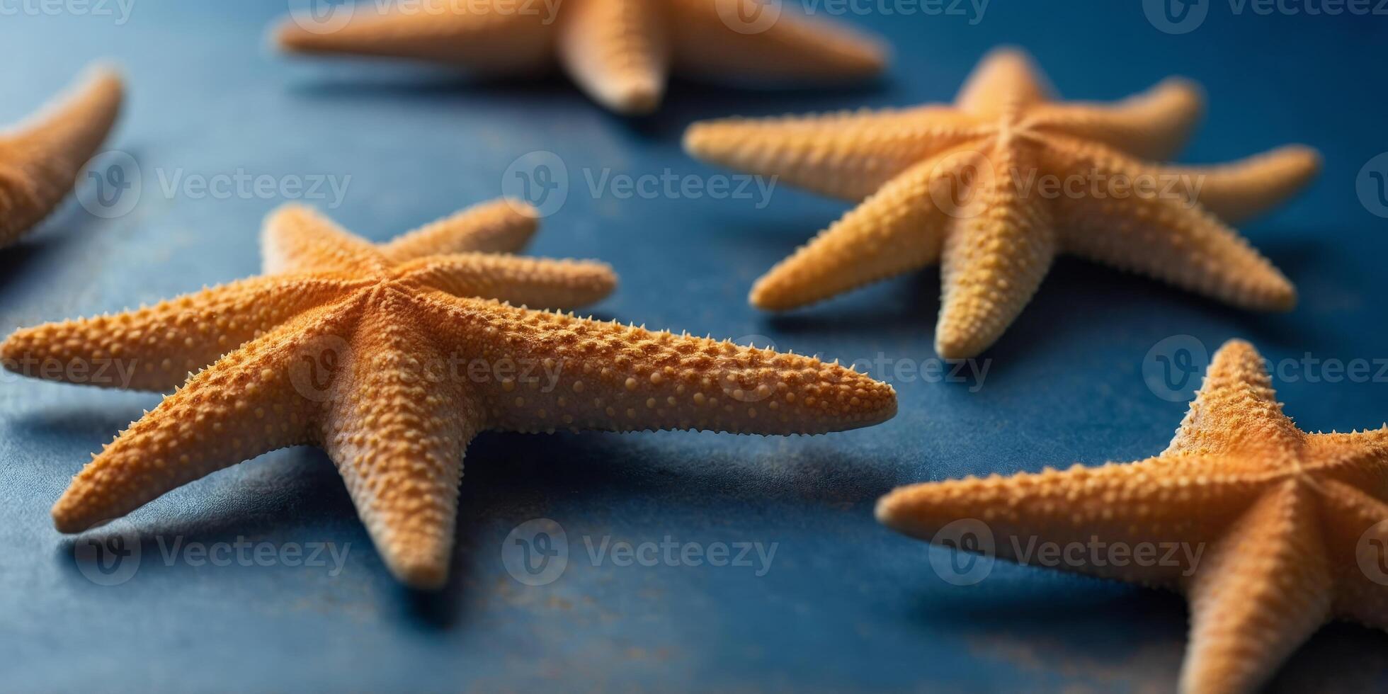 Different sized starfish on blue background. photo