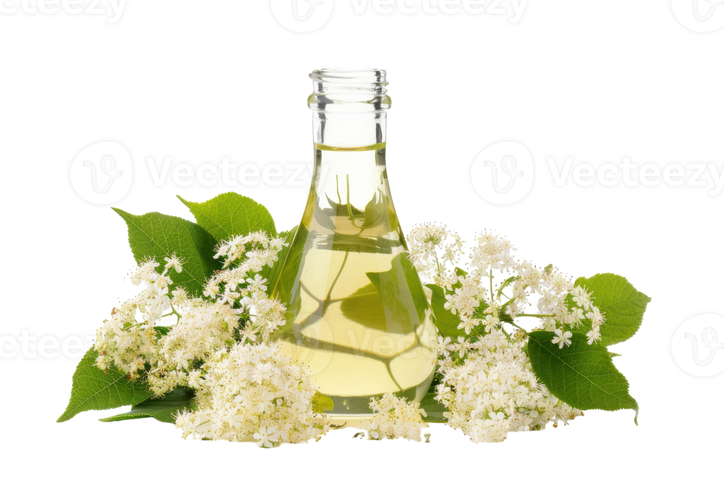Elderflower Syrup On Transparent Background. png