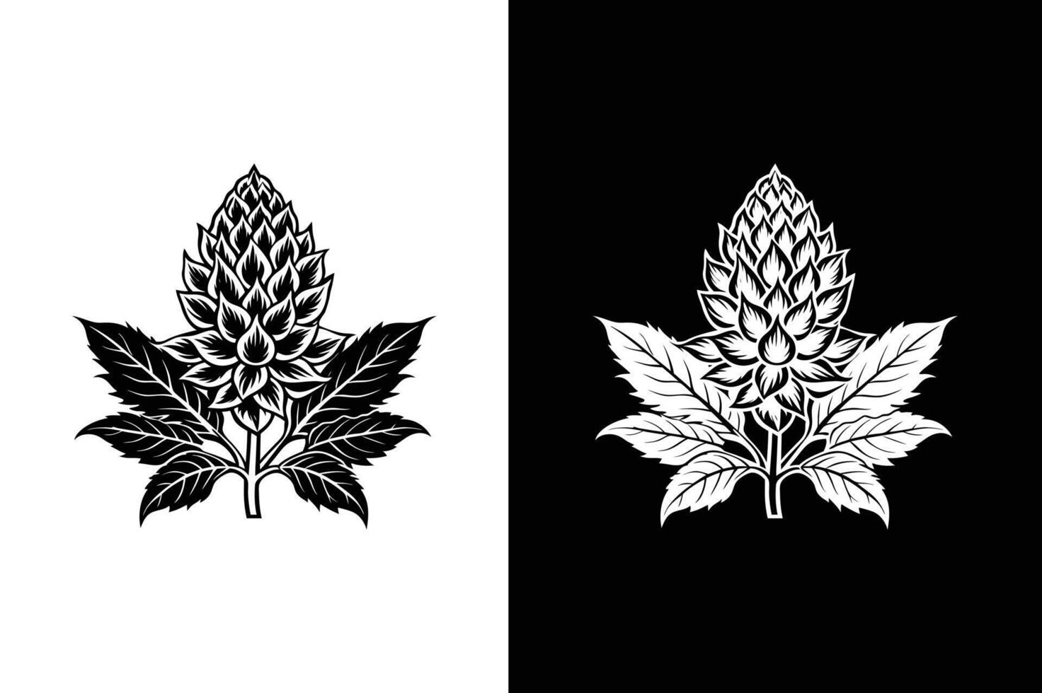 Amaranthus flower Icon In Flat Design illustration black white background. vector