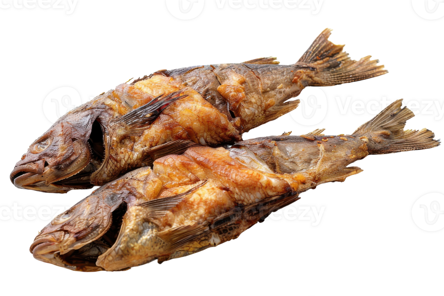 Fried Fish Seafood On Transparent Background. png
