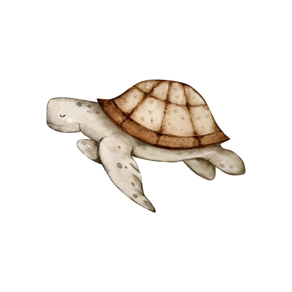 Turtle watercolor painting, nursery vector