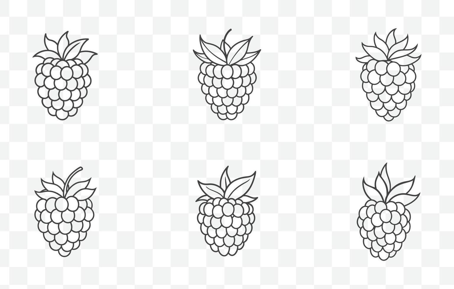 Print Elegant Blackberry Line Art Collection Featuring Detailed Berry Illustrations for Design and Art Projects vector