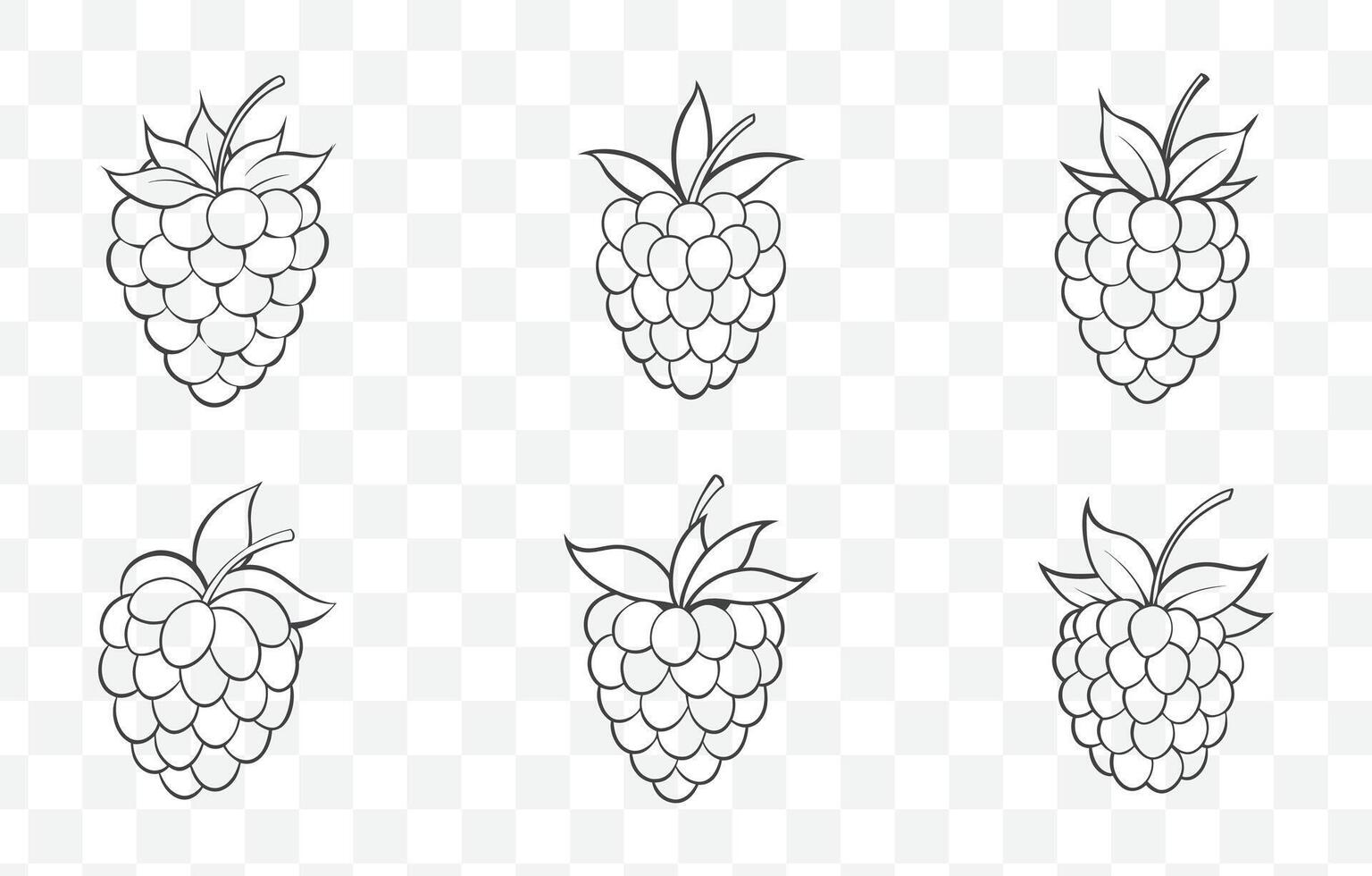 Print Boysenberry Line Art Collection Featuring Detailed Botanical Illustrations for Creative Design Projects vector