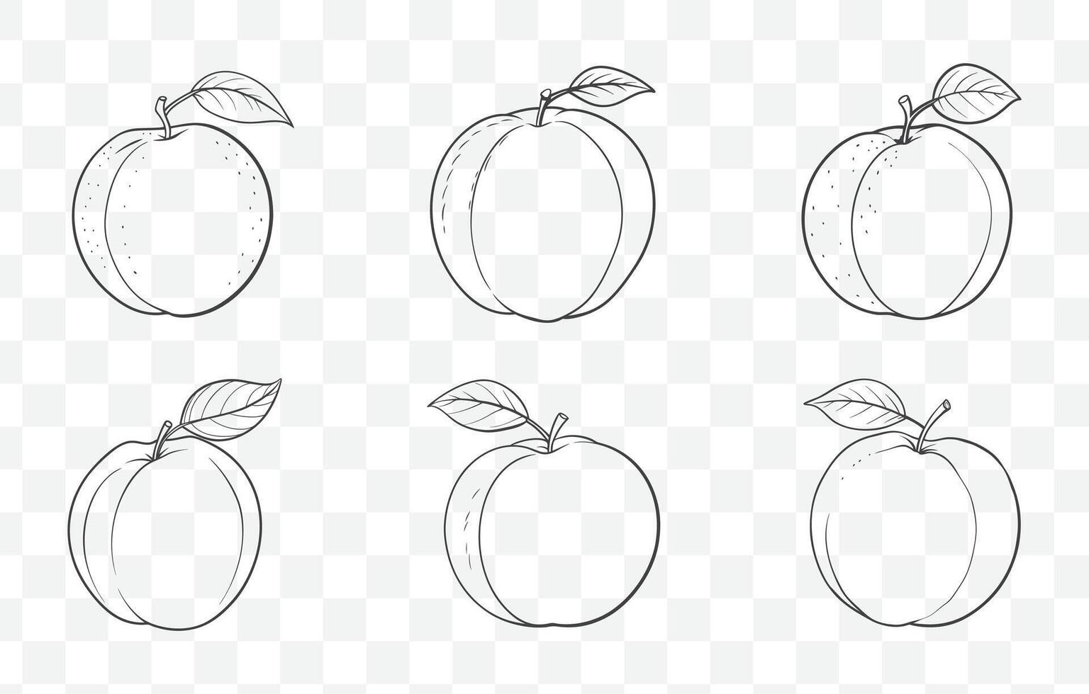 Print Apricot Line Art Set Featuring Detailed Illustrations of Apricot Fruits Branches and Leaves in Elegant Minimalist Style vector