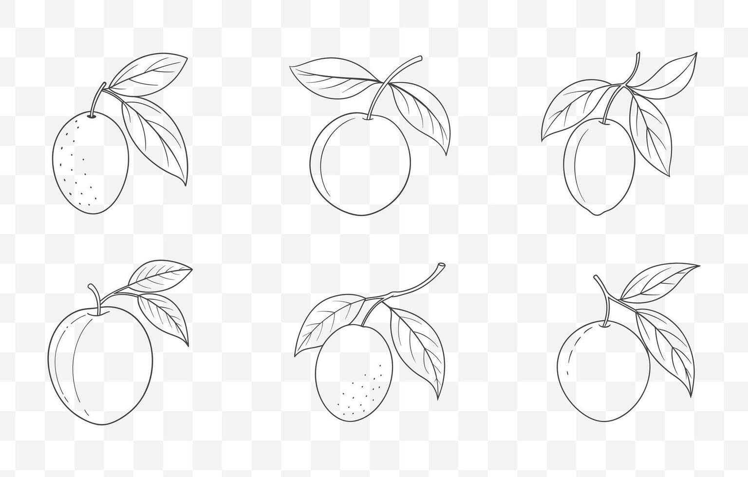 Print Jujube Line Art Set with Detailed and Elegant Illustrations for Design and Art Projects vector