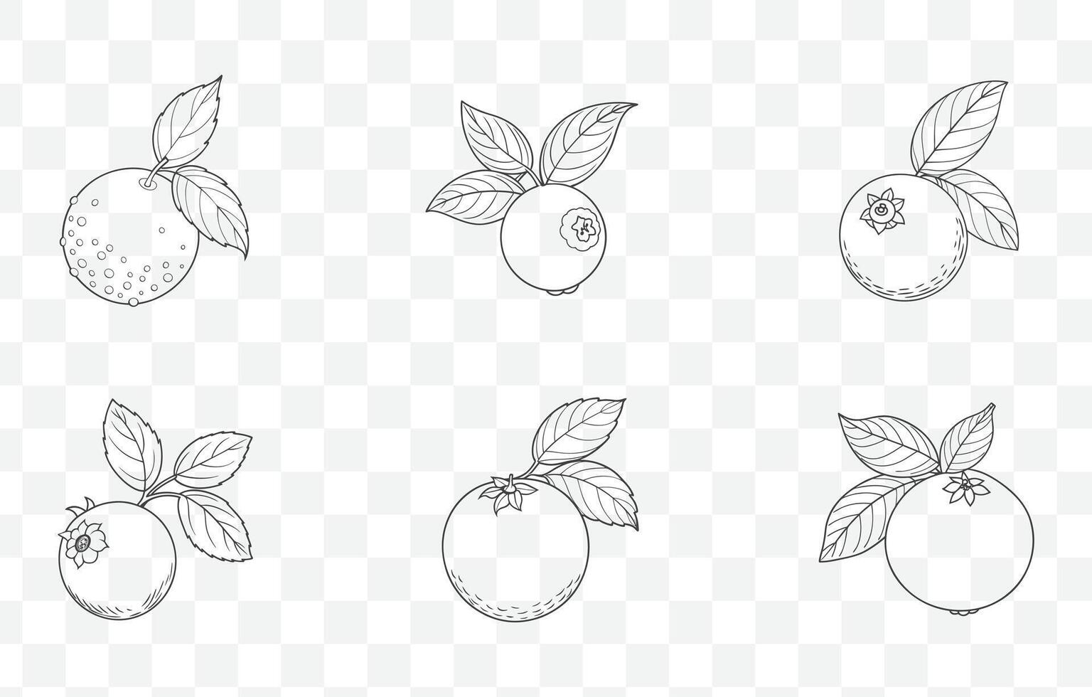 Print Huckleberry Line Art Set Featuring Detailed Illustrations and Creative Designs for Artistic Projects vector