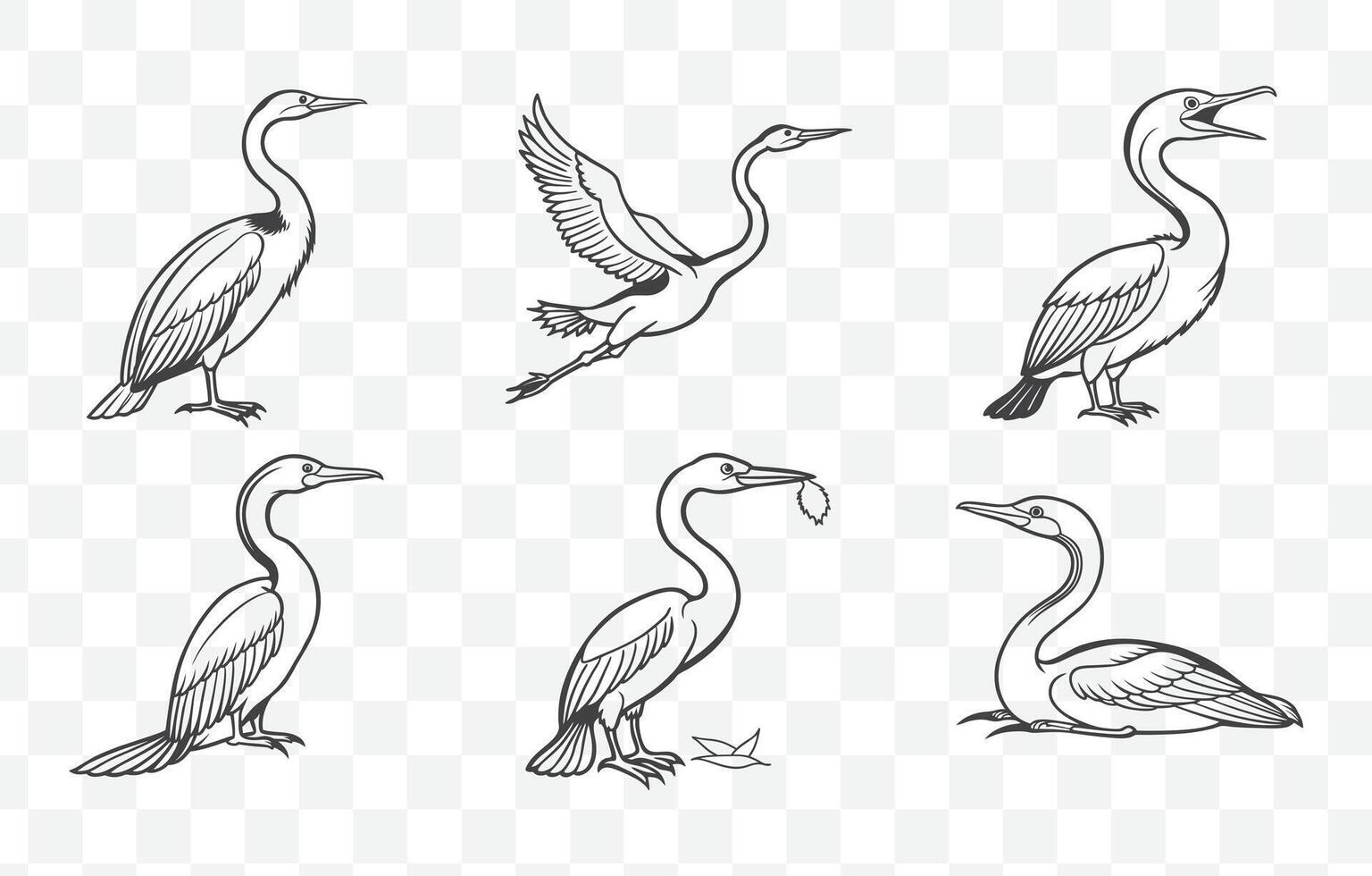Anhinga Line Art Set Featuring Detailed Illustrations of the Elegant Water Bird for Creative Projects vector