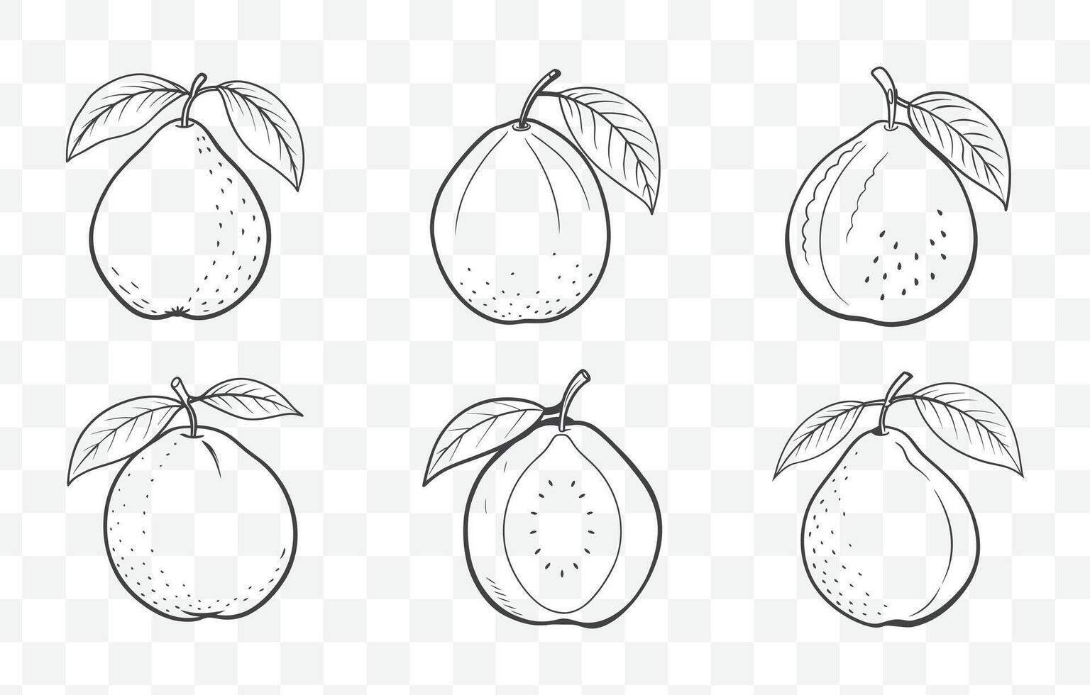 Print Guava Line Art Set Featuring Various Styles and Details for Creative Projects and Designs vector