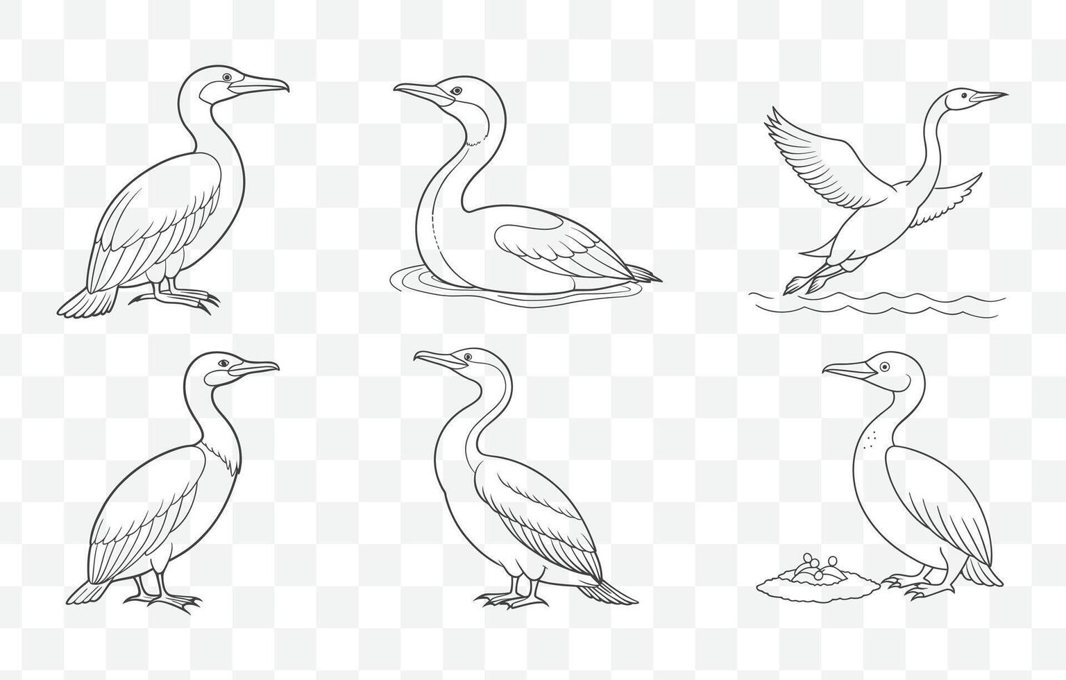 Print Cormorant Line Art Set - Detailed Illustrations of Cormorant Birds for Artistic and Design Projects vector