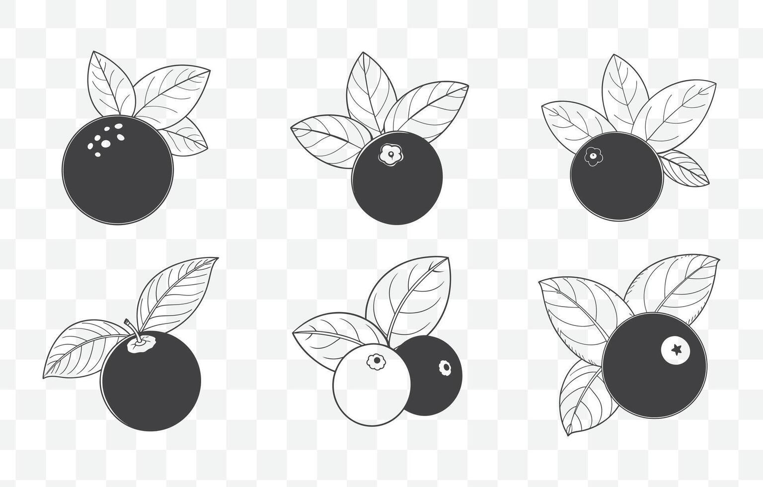 Print Cranberry Line Art Set Elegant and Detailed Illustrations of Cranberries for Graphic Design and Creative Projects vector