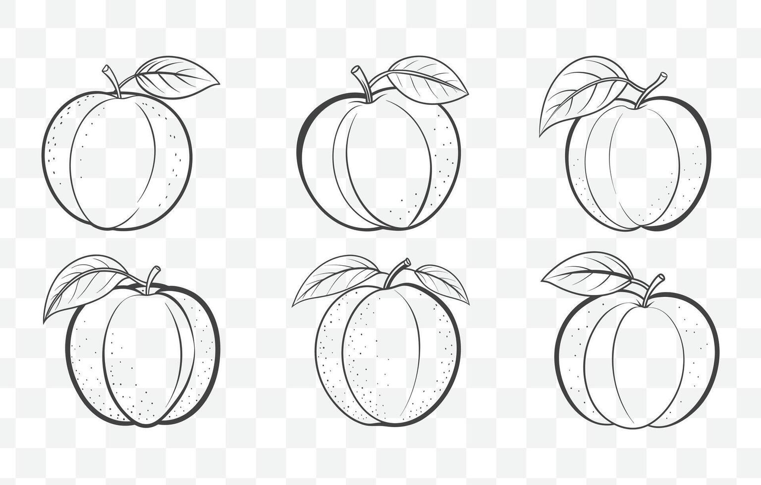 Print Apricot Line Art Collection Featuring Detailed Botanical Illustrations and Elegant Fruit Design Elements Set vector