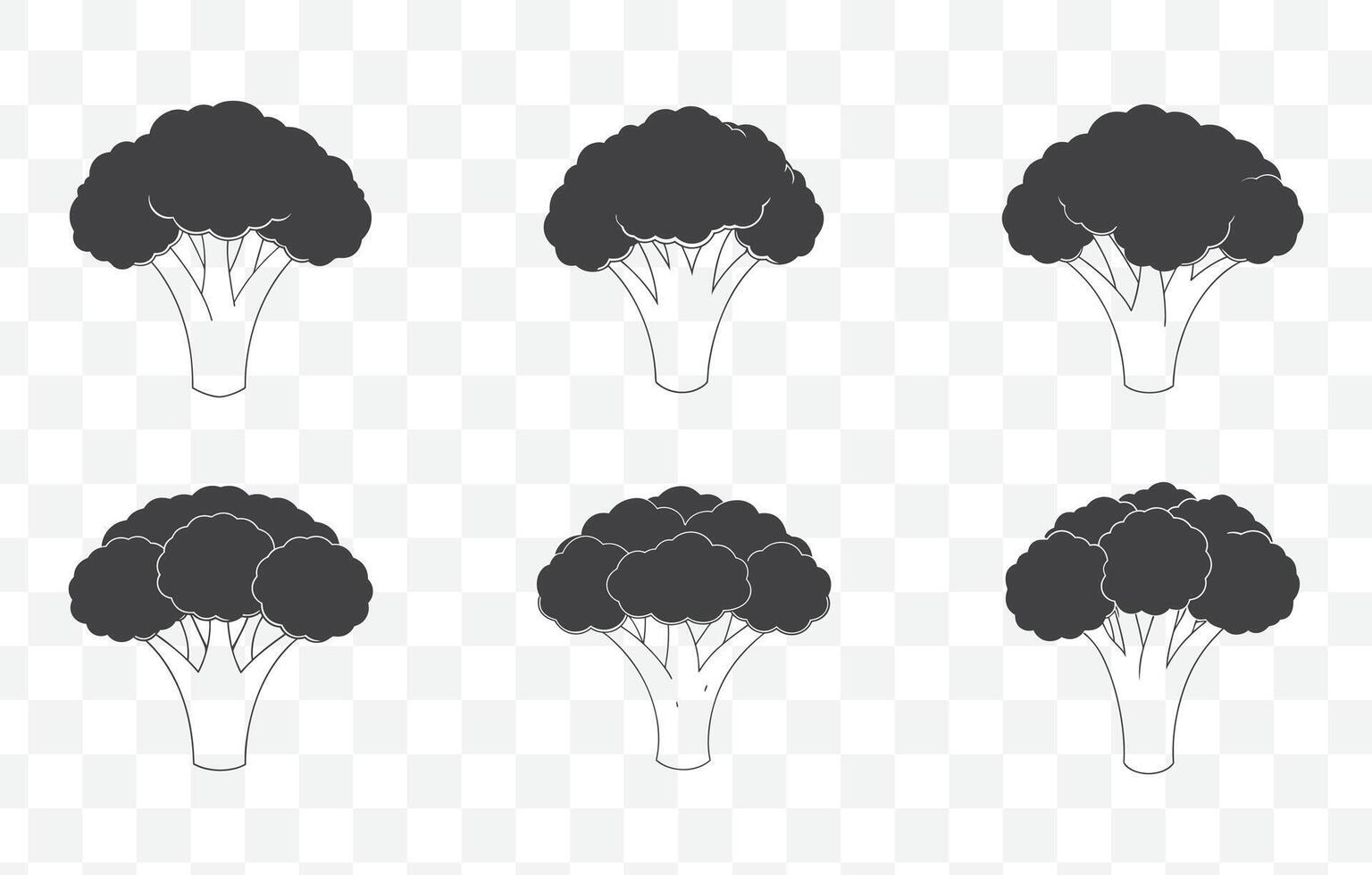 Print Broccoli Line Art Set Detailed Illustrations of Broccoli Florets and Stalks in Minimalist Black and White Style vector