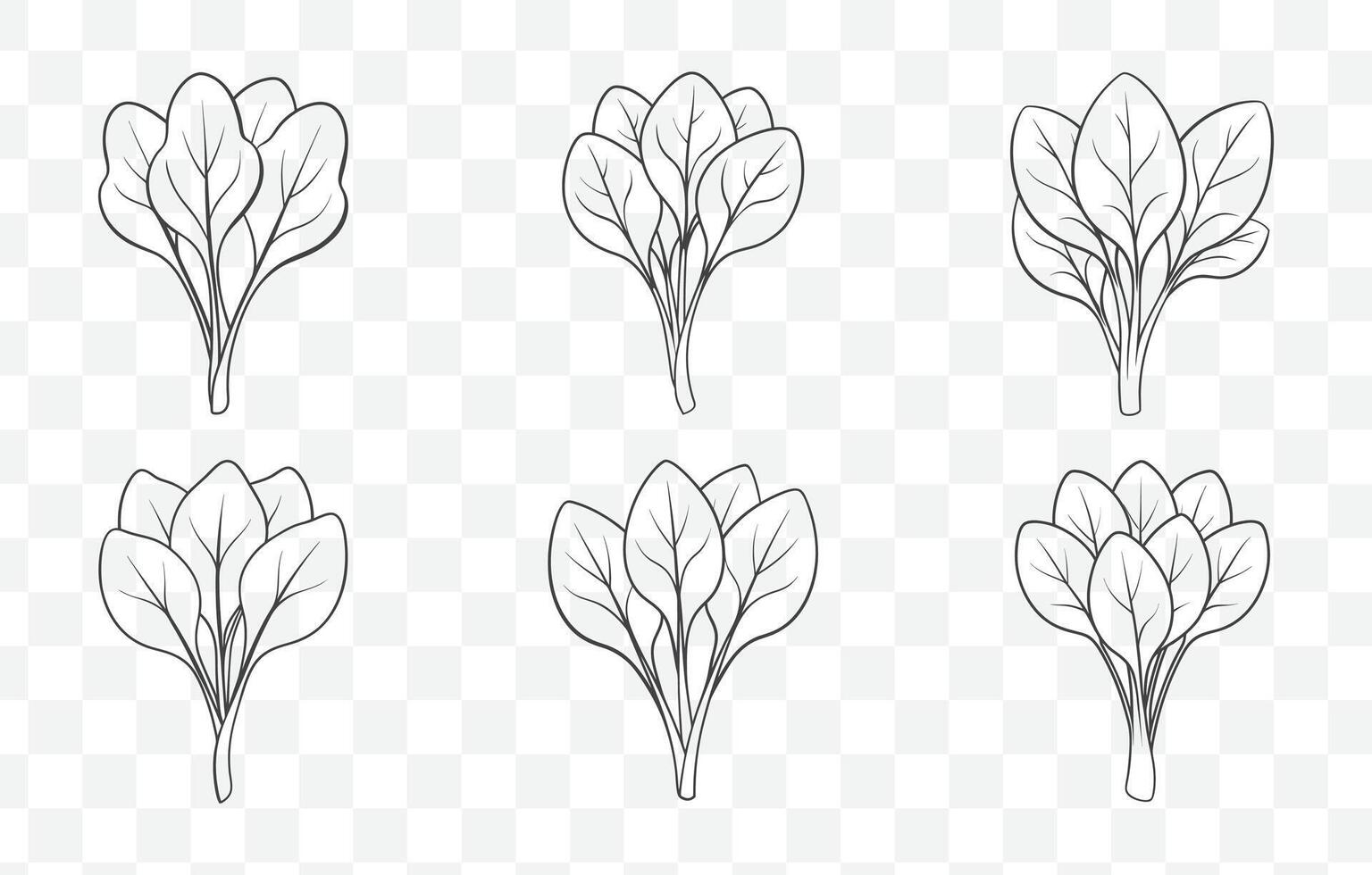 Print Kale Line Art Set Detailed Illustrations of Kale Leaves and Stems in a Variety of Styles vector