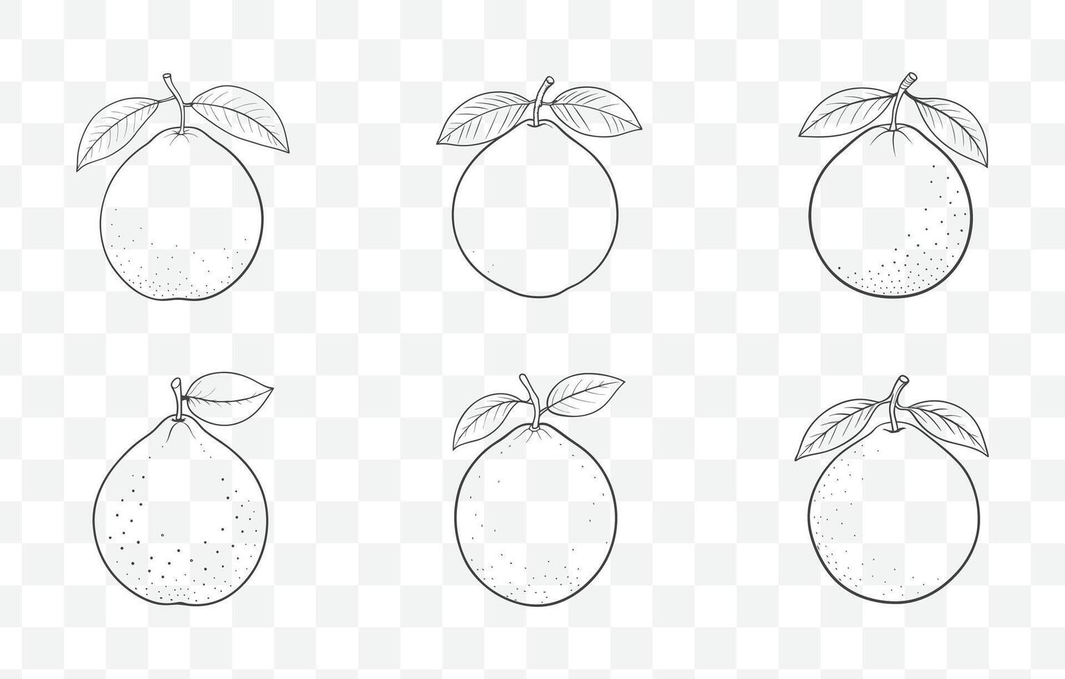 Print Guava Line Art Set of Tropical Fruit Illustrations with Detailed and Unique Designs for Creative Projects vector