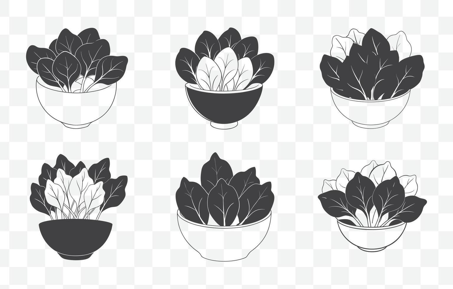 Print Spinach Plant and Leaf Detailed Line Art Set for Illustrations Design and Art Projects vector