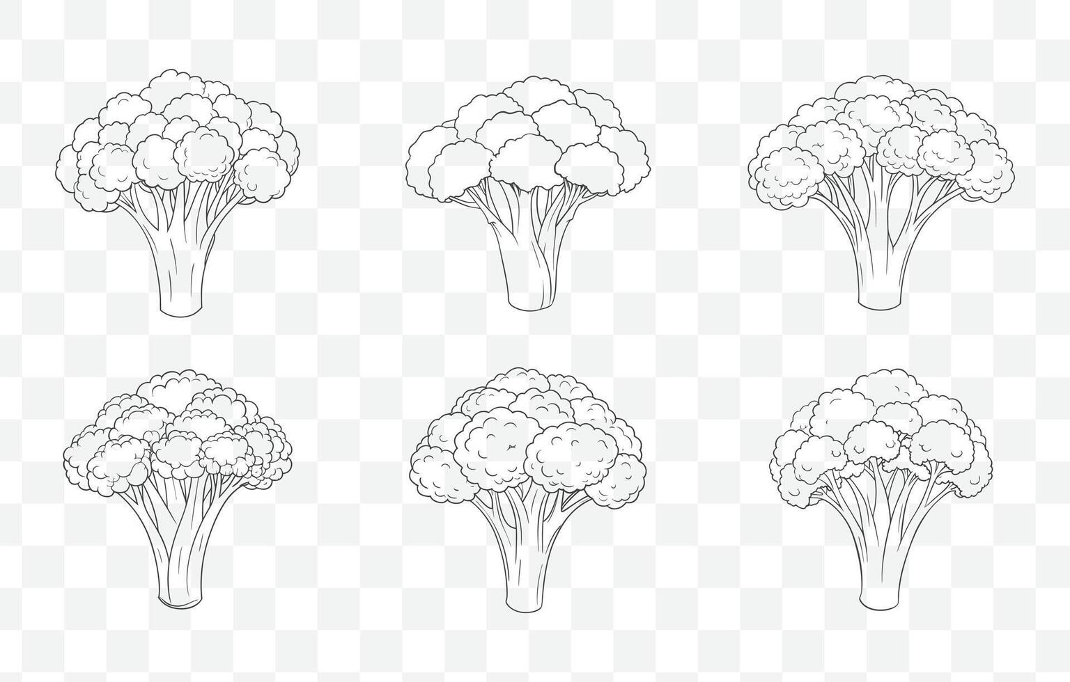 Print Broccoli Line Art Set Detailed Illustrations of Broccoli Designs for Healthy Food and Organic Produce Graphics vector