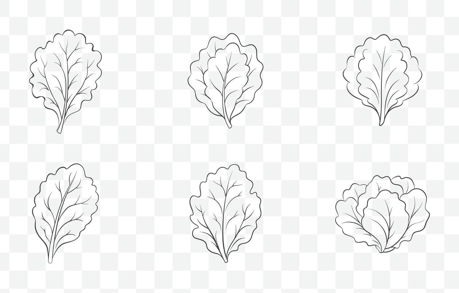Print Lettuce Plant and Leaf Line Art Illustration Set with Detailed Botanical Design Elements vector