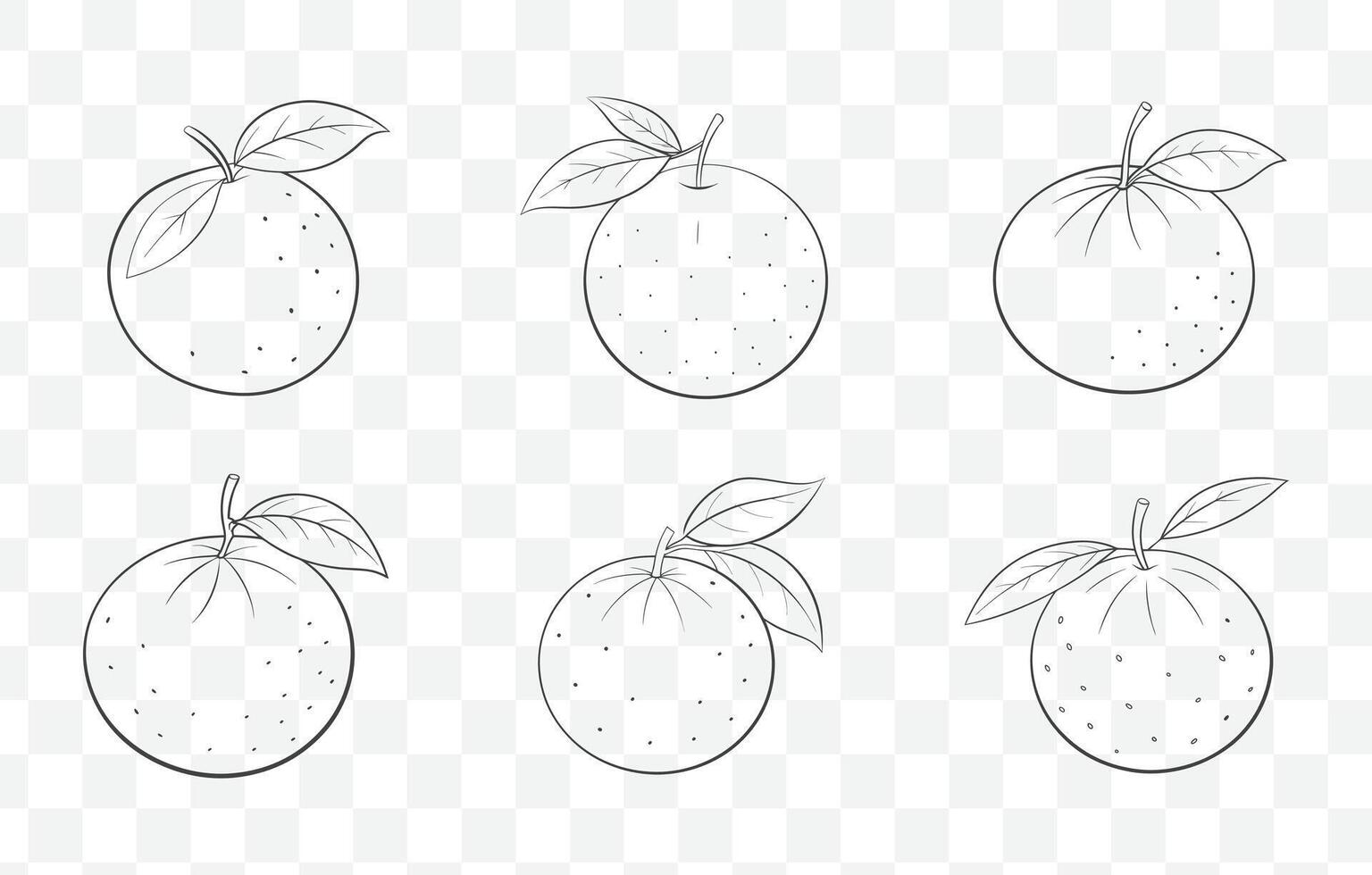 Print Clementine Fruit Line Art Collection with Detailed Illustrations for Design and Art Projects vector