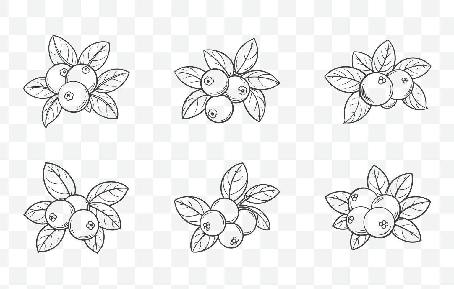 Print Cranberry Botanical Illustration Line Art Set with Detailed Cranberry Branches Berries and Leaves vector