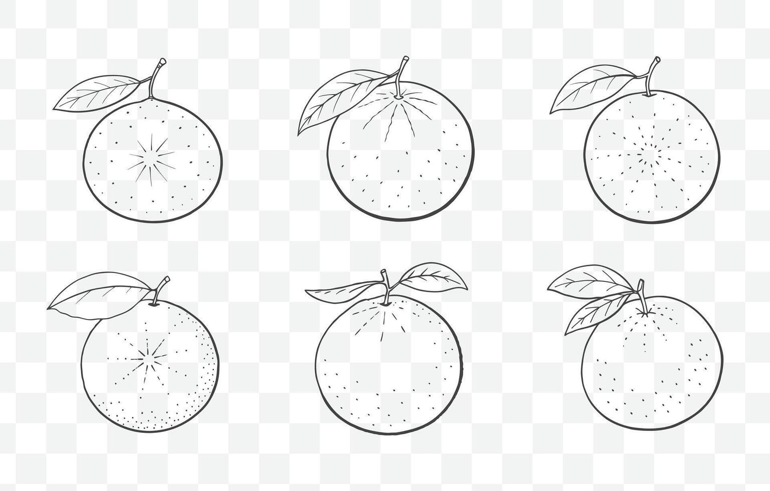 Print Grapefruit Line Art Set for Creative Designs and Illustration Work vector